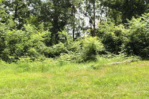 lot S 396 397 Ln 415 A Jimmerson Lk, Fremont, IN 46737