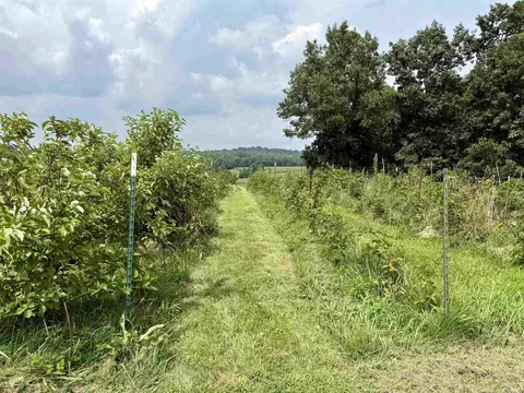 Other - 8842 S 450 E Rd, Ferdinand, IN 47532 photo 3 of 9