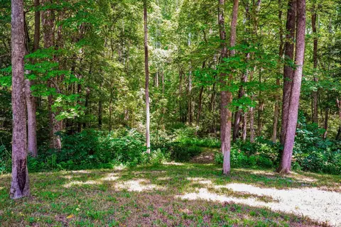 Exterior - 103 Red Bud Ln, Oolitic, IN 47451 photo 9 of 9