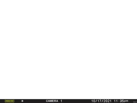 608 Madison St, Rochester, IN 46975