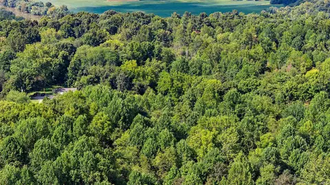 tbd Port Williams Rd, Mitchell, IN 47446 photo 11