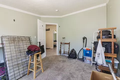 4282 Lamott Rd, Centerville, IN 47330 photo 25