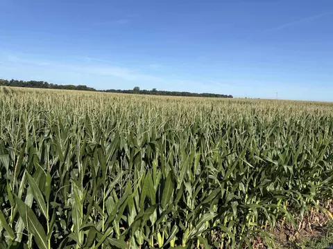 tbd S 800 S 200 E, Warren, IN 46792 photo 4