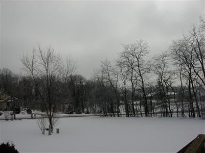 517 Water Meade Pl, Fort Wayne, IN 46825 photo 3