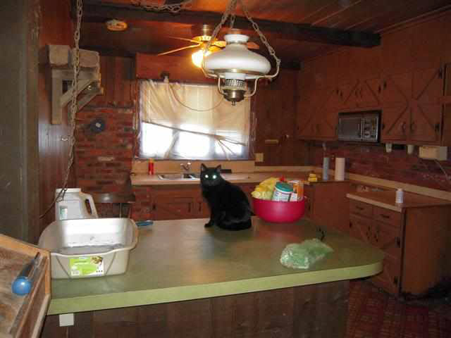 5391 E 200 S, Bringhurst, IN 46913 photo 5