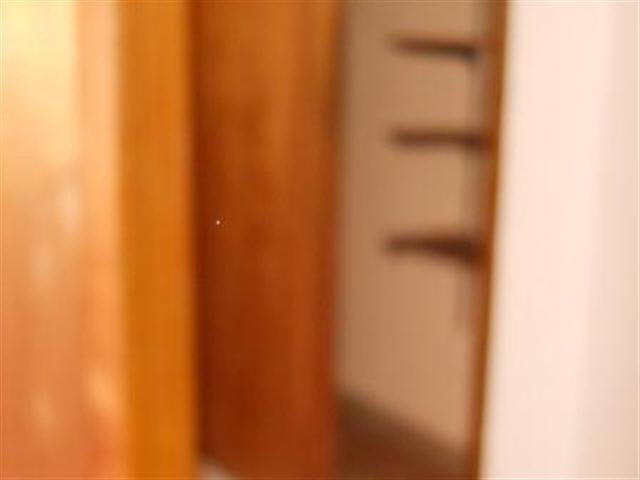 2028 Monon Ave, Lafayette, IN 47904 photo 9