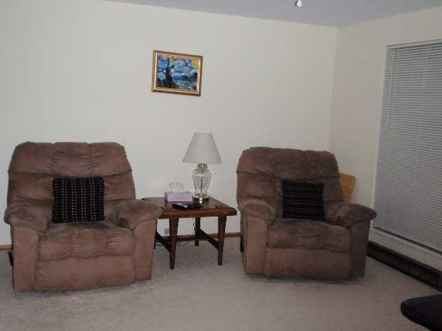 309 Holiday Dr, Attica, IN 47918 photo 2