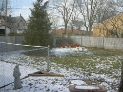 503 E Franklin St, Delphi, IN 46923 photo 5