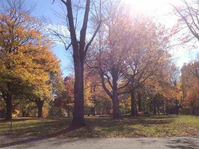 1009 E Columbia St, Delphi, IN 46923 photo 24