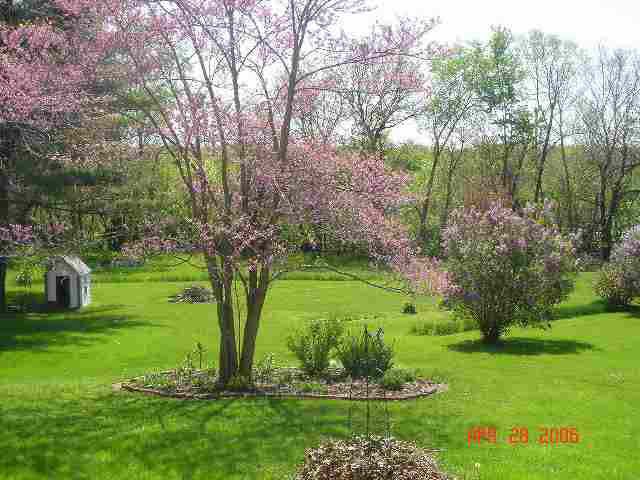 922 E Main St, Delphi, IN 46923 photo 4