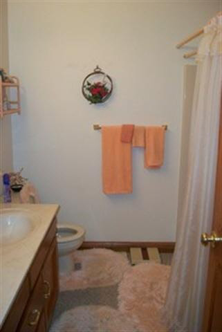 306 Dry Branch Dr, Crawfordsville, IN 47933 photo 8