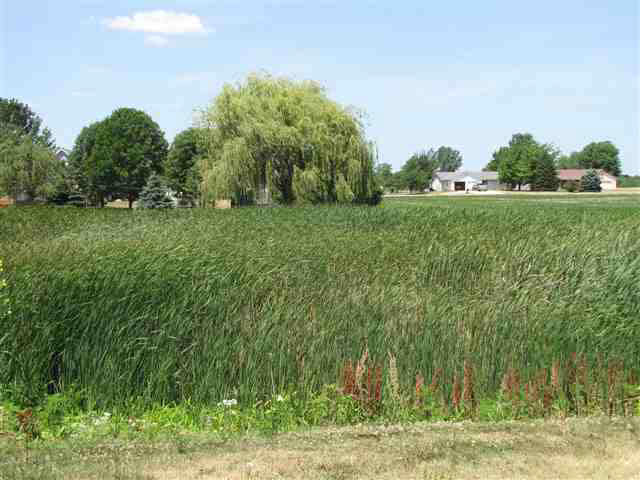 5 Nora Ct, Rossville, IN 46065 photo 20