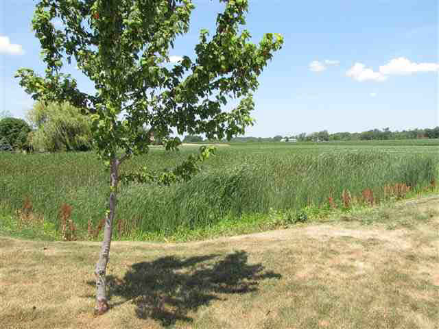 5 Nora Ct, Rossville, IN 46065 photo 19