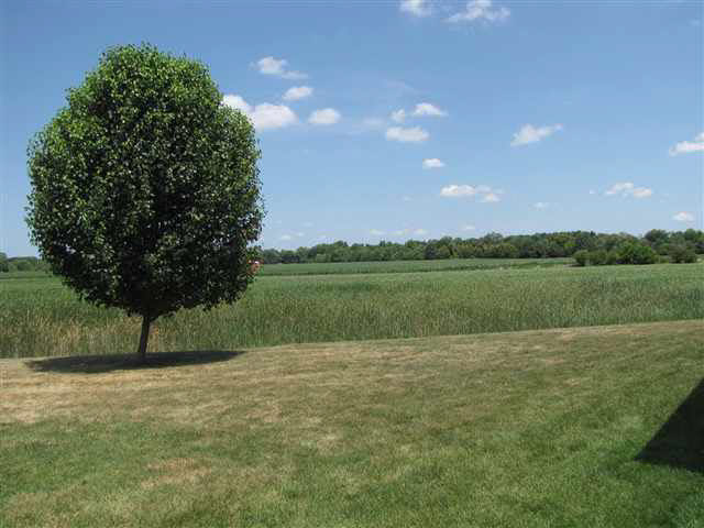5 Nora Ct, Rossville, IN 46065 photo 21