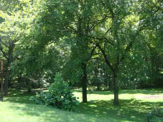 740 Mill St, Delphi, IN 46923 photo 5