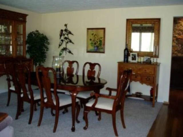 314 E Mcbride Rd, Attica, IN 47918 photo 7