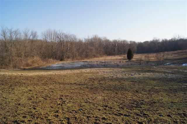 8805 W 650 S, Westpoint, IN 47992 photo 25