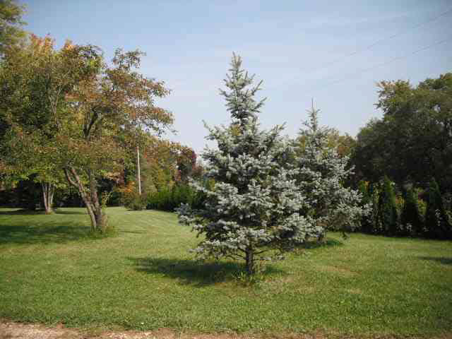 16565 N Sr 63, Covington, IN 47932 photo 2