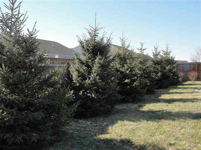 5689 Lux Blvd, Lafayette, IN 47905 photo 19