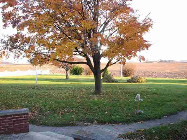 286 E 50 S, Flora, IN 46929 photo 10