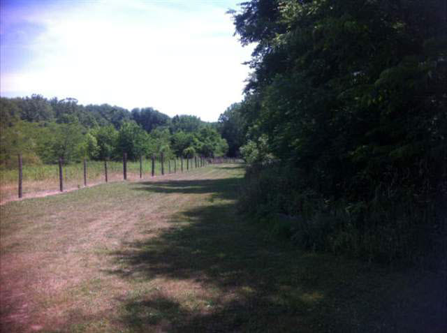 3170 E Flint Rd, Attica, IN 47918 photo 19