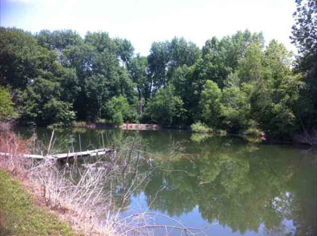 3170 E Flint Rd, Attica, IN 47918 photo 22