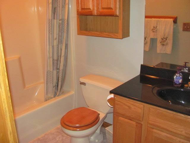 3019 N 225 E, Attica, IN 47918 photo 7