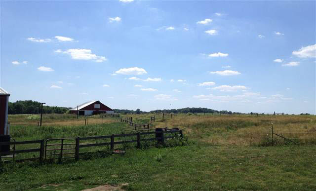 267 W Briscoe Rd, Williamsport, IN 47993 photo 19