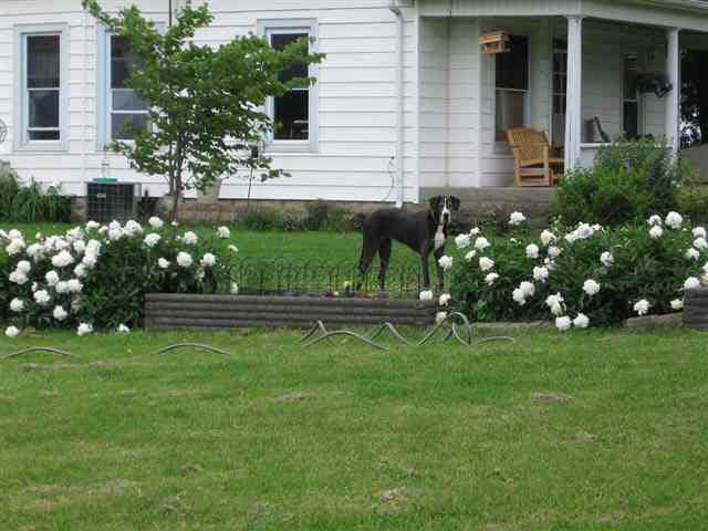 267 W Briscoe Rd, Williamsport, IN 47993 photo 23