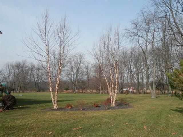 4448 Zanik Ln, Lafayette, IN 47909 photo 4