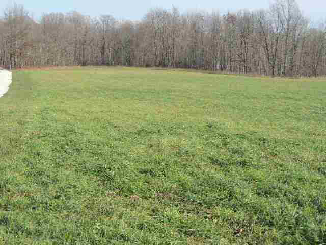1165 W 550 S, Cutler, IN 46920 photo 23