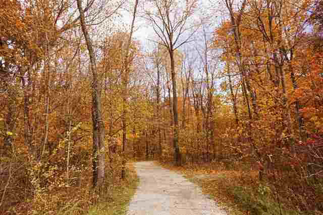 5389 N Substation Rd, Attica, IN 47918 photo 3