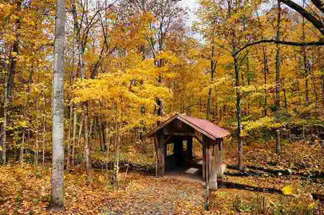 5389 N Substation Rd, Attica, IN 47918 photo 5