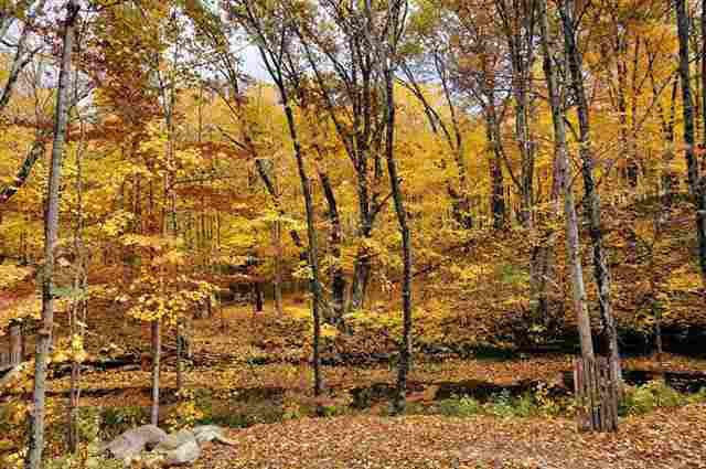 5389 N Substation Rd, Attica, IN 47918 photo 4