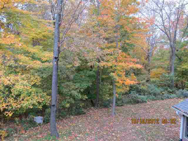 3662 W 750 S, Rossville, IN 46065 photo 22