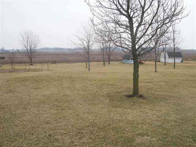 614 S 3rd St, Flora, IN 46929 photo 4