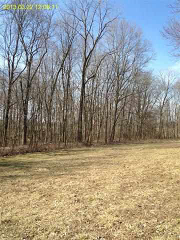 2374 W Tower Rd, Williamsport, IN 47993 photo 17