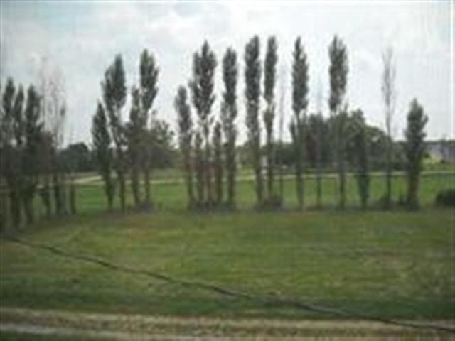 15936 S 680 W, Remington, IN 47977 photo 8