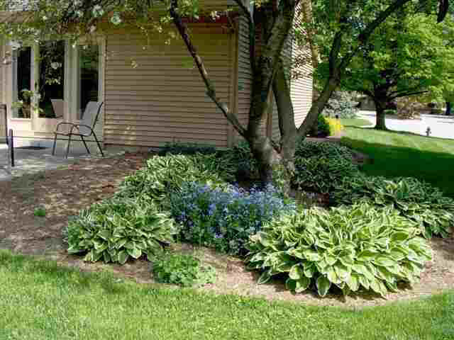 3500 Canterbury Dr, Lafayette, IN 47909 photo 15