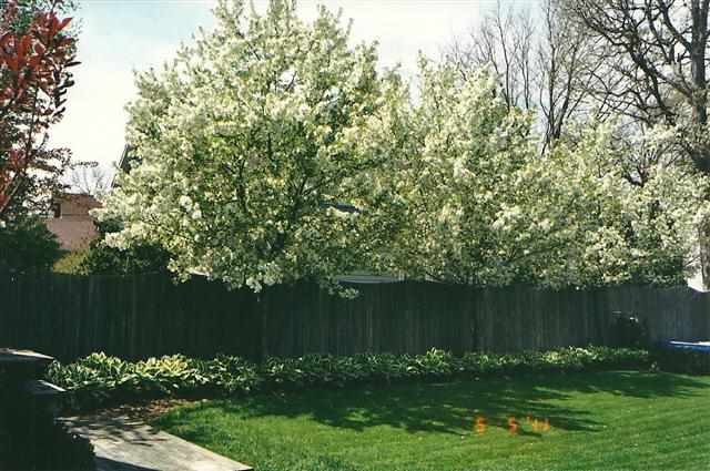 9020 N 1128 W, Monticello, IN 47960 photo 12