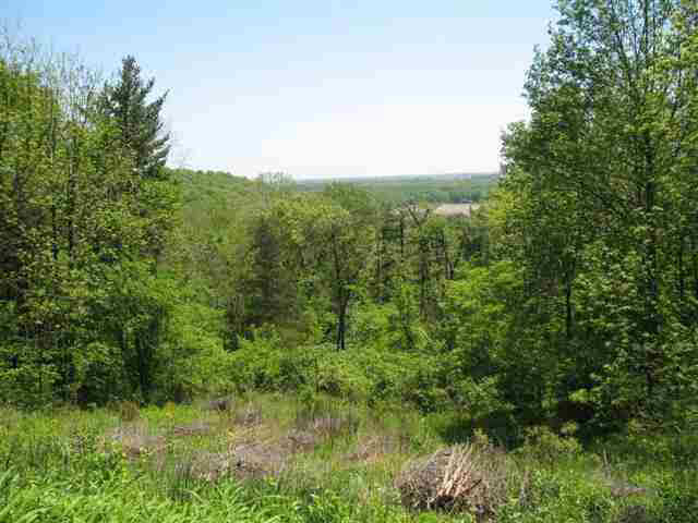 511 Kerber Rd, West Lafayette, IN 47906 photo 22