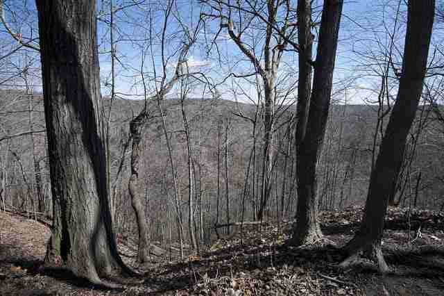 180 Stacey Hollow Ln, Lafayette, IN 47905 photo 2