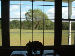 12343 Hobbieville Rd, Springville, IN 47462 photo 9