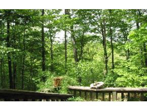 660 Sylvan Ln, Bloomington, IN 47404 photo 2