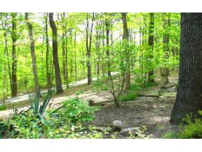 660 Sylvan Ln, Bloomington, IN 47404 photo 13