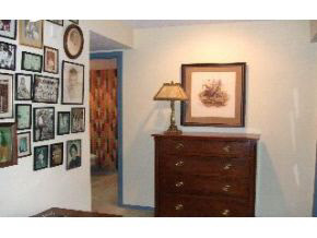 2602 E Windermere Woods Dr, Bloomington, IN 47401 photo 14