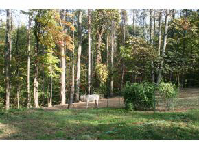 3411 S Knightridge Rd, Bloomington, IN 47401 photo 19