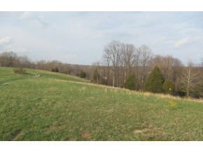 10058 E Allen Ln, Solsberry, IN 47459 photo 8