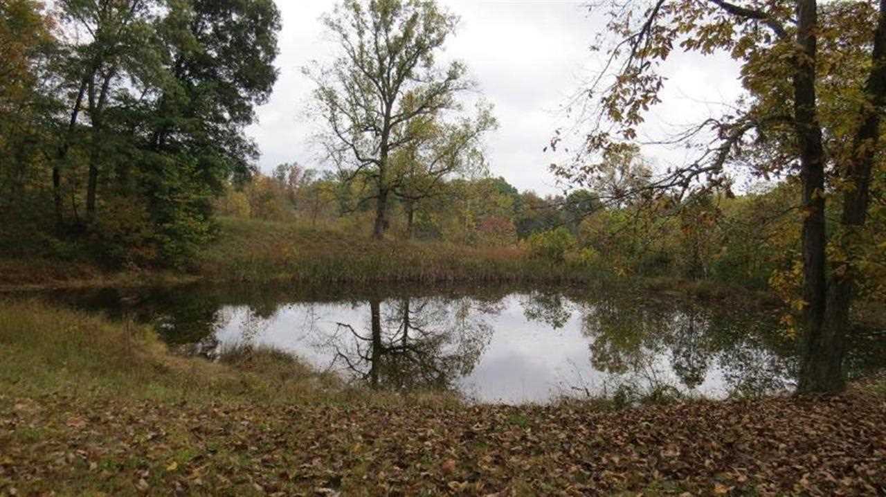10058 E Allen Ln, Solsberry, IN 47459 photo 9