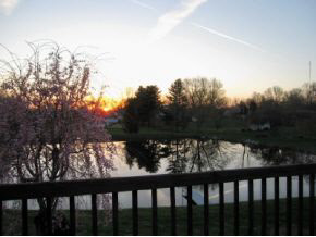 3611 E Robin Rd, Bloomington, IN 47401 photo 19